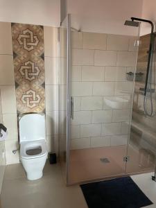 a bathroom with a toilet and a shower at CASA LA ABUELA in Olocau del Rey