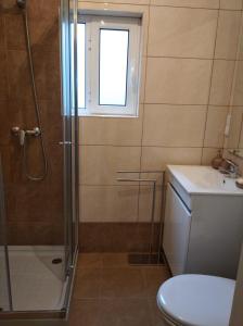 a bathroom with a shower and a toilet and a sink at Casa da Ti Emília in Cardigos