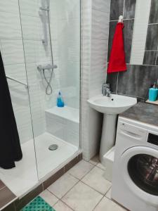 y baño con ducha, lavabo y lavadora. en Blanc de Tardy en Saint-Étienne