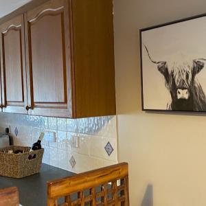 Fotografie z fotogalerie ubytování Mawenyoupe v destinaci Lochgilphead