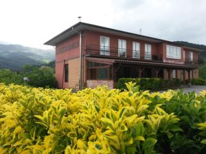 una casa en medio de un campo de flores amarillas en Pensión Bide-Ondo en Amorebieta-Etxano