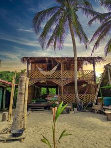 una casa en la playa con una palmera en Hostal halaliku, en Santa Marta
