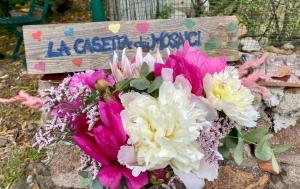 um ramo de flores sentado ao lado de um cartaz em La casetta dei Mosaici em Ilha Capraia