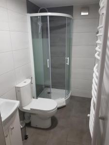 a bathroom with a toilet and a glass shower at Dworek pod Lwami in Lewin Brzeski
