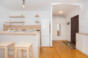 Kuchyňa alebo kuchynka v ubytovaní Downtown apartment Danica