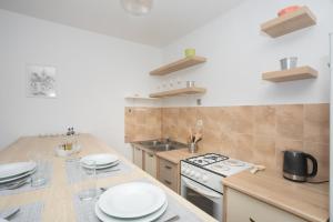 Kuchyňa alebo kuchynka v ubytovaní Downtown apartment Danica