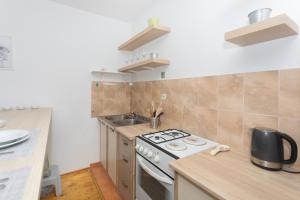 Kuchyňa alebo kuchynka v ubytovaní Downtown apartment Danica