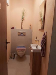 キルヒベルク・イン・チロルにあるAppartement Sybille by NV-Appartementsの小さなバスルーム(トイレ、シンク付)