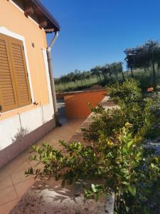 Giardino di Casa L'ulivo Burgio Nature view