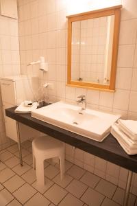 a bathroom with a sink and a mirror at Hotel Waldidyll in Zinnowitz