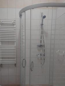 a shower with a shower head in a bathroom at Dworek Mitro in Gdynia