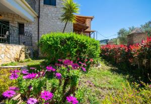 Zahrada ubytování Ammos Zante Villas