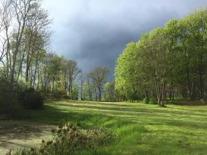 a green field with trees and a cloudy sky at Parkblick Grüner Salon in Satow