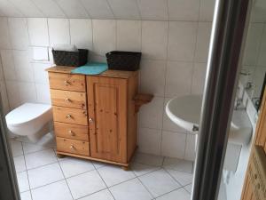 a bathroom with a sink and a toilet and a wooden cabinet at Parkblick Grüner Salon in Satow