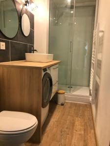 een badkamer met een toilet, een wastafel en een douche bij HYPERCENTRE - Duplex de charme in Blois
