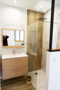 een badkamer met een douche en een wastafel bij Appartement chaleureux proche gare in Saumur