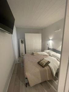 a bedroom with a large bed in a room at Casa Morena Locazione Turistica in Malesco