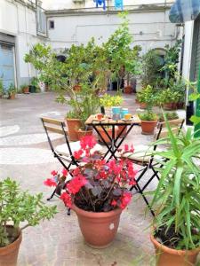 a patio with a table and potted plants at Casa Vacanze "Donna Manu', tra Stazione Centrale, Metro e Aeroporto TURISMO CULTURALE in Naples