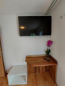 TV a/nebo společenská místnost v ubytování good bed biberist BIBERSOL