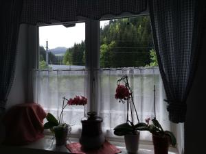 Příroda nedaleko bed and breakfast