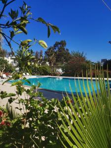 a swimming pool in a garden with plants at Kiriş Garden Hotel in Kemer