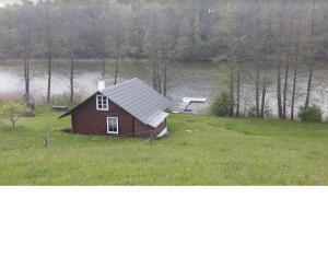 a small house in a field next to a lake at Namelis prie ežero in Miežoniai