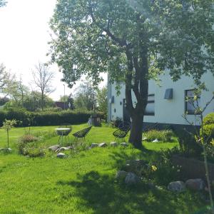 A garden outside Ahoi