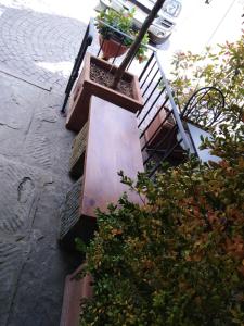 un escalier avec des plantes en pot dans l'établissement Albergo Giovanni Da Verrazzano, à Greve in Chianti