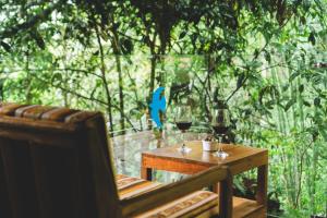 Gallery image of Piripe Wellness Lodge in Pacto +56 photos