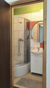 een badkamer met een douche en een wastafel bij Apartamenty w Młynie in Gostynin