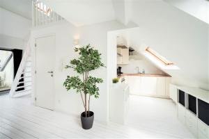 a white kitchen with a potted plant in the middle at Beautiful Cozy Apartments in the Heart of Antwerp in Antwerp