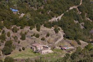 Príroda v okolí hostela