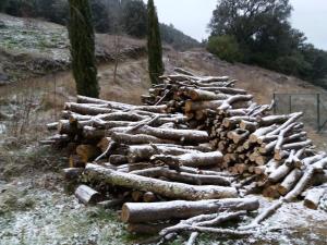 Bed and Breakfast Casanova de Sant Miquel v zime