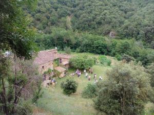 Príroda v okolí hostela