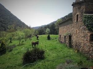 Príroda v okolí hostela