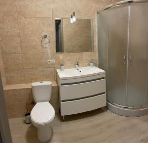 a bathroom with a toilet and a sink and a shower at Затишна однокімнатна квартира під Києвом in Kopylov