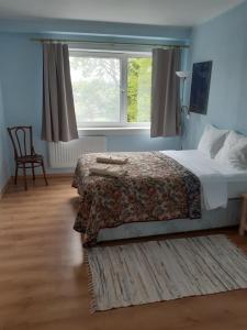 a bedroom with a bed and a window at Mosina Vesiveski in Vissi