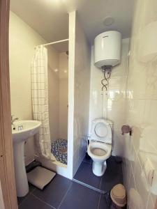 a small bathroom with a toilet and a sink at Студии на улице 850 летия in Vladimir