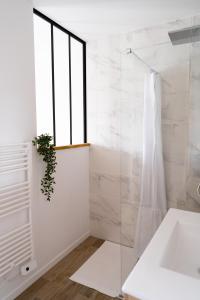 a bathroom with a shower and a sink at Charmant appartement avec parking privé in Saumur