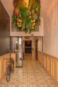 Fotografie z fotogalerie ubytování CALM Appart' & Hostel v destinaci Lille