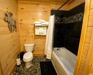 Koupelna v ubytování UV Log home with direct Cannon Mountain views Minutes to attractions Fireplace Pool Table AC
