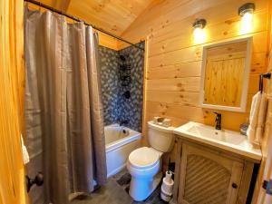 Koupelna v ubytování UV Log home with direct Cannon Mountain views Minutes to attractions Fireplace Pool Table AC