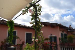 Foto dalla galleria di Il Carmine Charme & Terrace with AC a Lucca