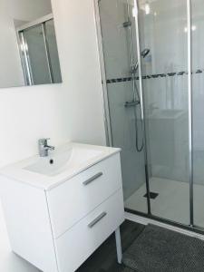 La salle de bains blanche est pourvue d'un lavabo et d'une douche. dans l'établissement Le seize, à Châlons-en-Champagne