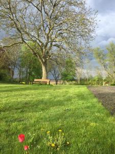 a park with a bench and a tree and a red flower at Blauer Salon in Satow