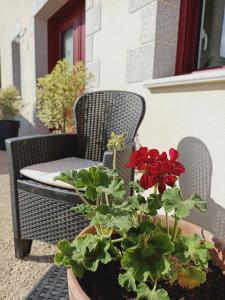 Taman di luar Gîte atypique plus haut de Vendée 10mn Puy duFou