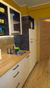 Kuchnia lub aneks kuchenny w obiekcie APARTAMENT JAN-53 Krynica Morska