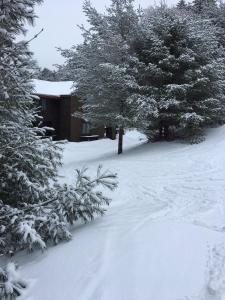 冬天的V3 Gorgeous SKI-IN Mountain View Townhouse with great views in Bretton Woods Fast wifi