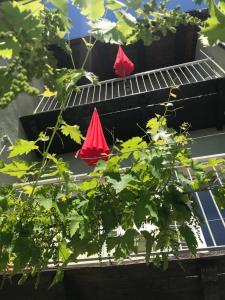 dois guarda-chuvas vermelhos em cima de um edifício em La Vite è Bella em Govone