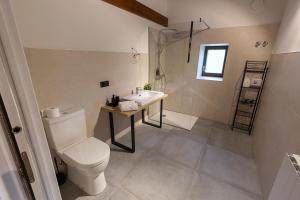 a bathroom with a toilet and a sink at ARBELA Apartamentuak in Aia